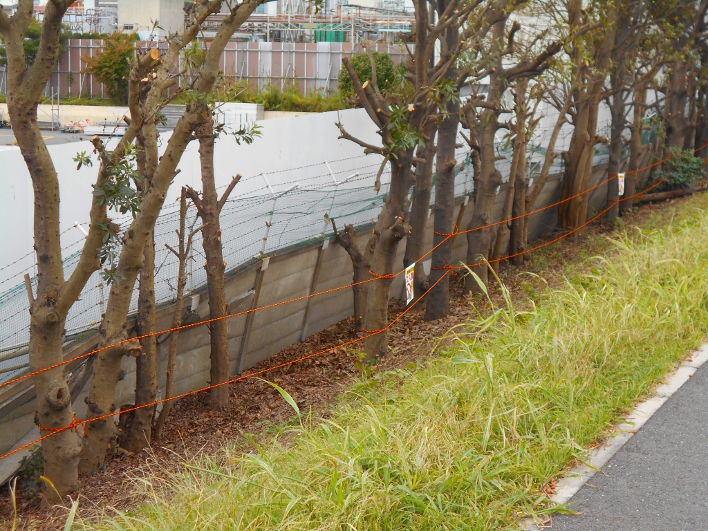 施工前　劣化し台風で倒壊した組立塀